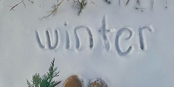 Salty Winter Collection