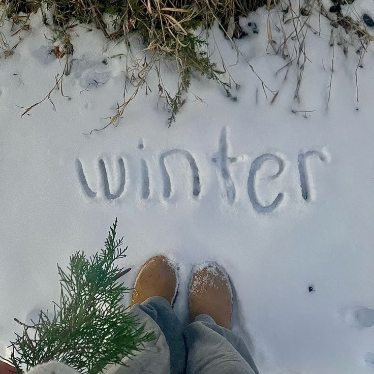 Salty Winter Collection